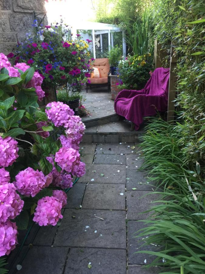 Penzance Seaside Studios ภายนอก รูปภาพ